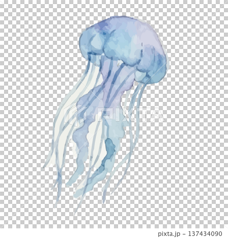 水彩風のクラゲのイラスト 水彩風のクラゲのイラスト 137434090