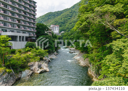 夏のみなかみ温泉 137434110