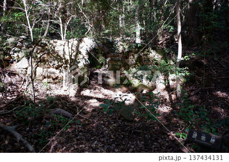 高知県土佐清水市 佐田山・白皇神社屋敷跡・炭窯跡 高知県土佐清水市 佐田山・白皇神社屋敷跡・炭窯跡 137434131