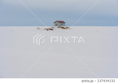 美瑛 冬景色 美瑛 冬景色 137434132