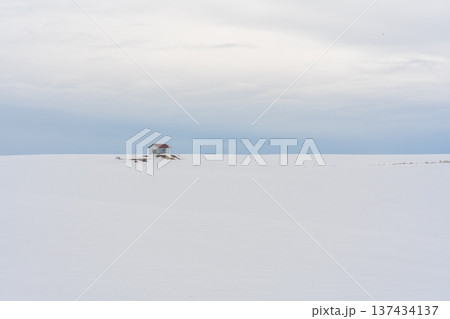 美瑛 冬景色 美瑛 冬景色 137434137