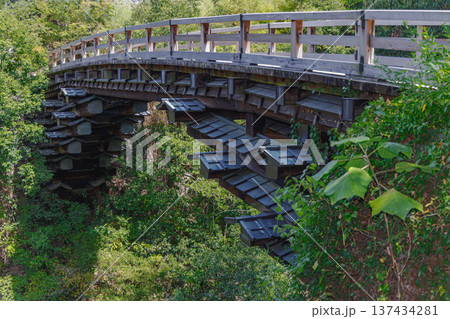 夏の甲斐の猿橋 日本三奇橋 夏の甲斐の猿橋 日本三奇橋 137434281