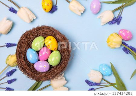 Easter colored painted eggs in bird nest with yellow daffodils, white tulips, and blue muscari on blue background with space for text and greetings. Easter and spring concept. Spring background Easter colored painted eggs in bird nest with yellow daffodils, white tulips, and blue muscari on blue background with space for text and greetings. Easter and spring concept. Spring background 137434293