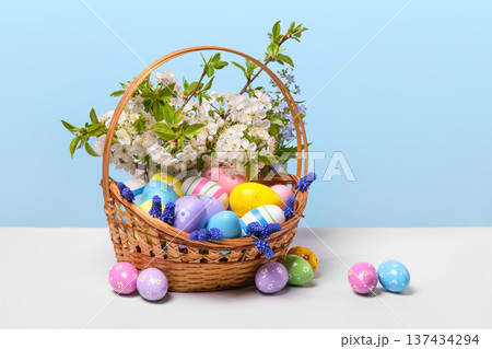 Multicolored Easter eggs in a basket with spring flowers: blooming spring cherry branches and yellow daffodils on gray table on a gradient lilac and blue background. Easter concept Multicolored Easter eggs in a basket with spring flowers: blooming spring cherry branches and yellow daffodils on gray table on a gradient lilac and blue background. Easter concept 137434294