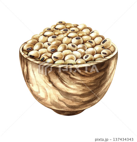 Soybeans in a wooden bowl. Hand-drawn watercolor illustration. Isolate. Perfect for creating product labels, posters, banners, menus, and more. Soybeans in a wooden bowl. Hand-drawn watercolor illustration. Isolate. Perfect for creating product labels, posters, banners, menus, and more. 137434343