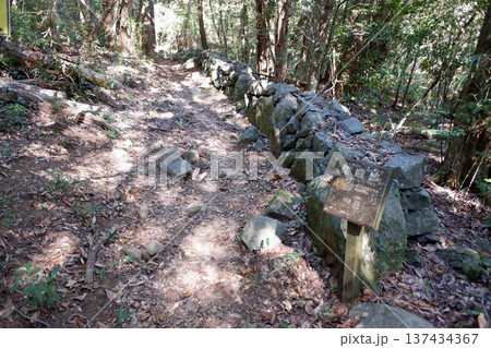 高知県土佐清水市 佐田山・白皇神社屋敷跡・猪囲跡 高知県土佐清水市 佐田山・白皇神社屋敷跡・猪囲跡 137434367