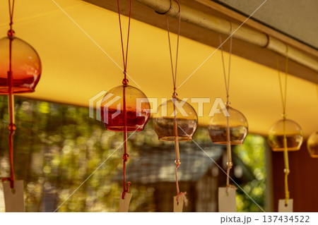 乃木神社 8月 風鈴 乃木神社 8月 風鈴 137434522