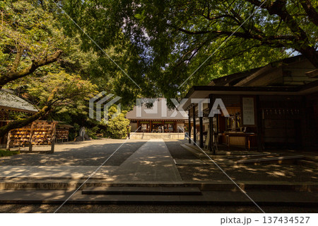 乃木神社 8月 境内風景 乃木神社 8月 境内風景 137434527