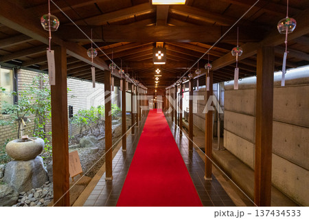 乃木神社　8月　風鈴回廊 137434533