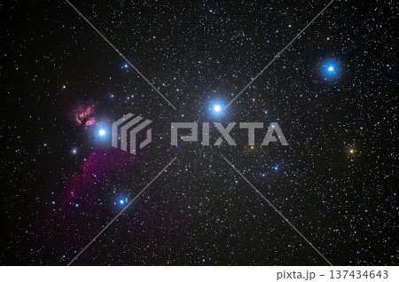 オリオン座の三ツ星 オリオン座の三ツ星 137434643