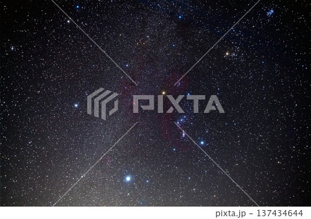 オリオン座と冬の大三角 137434644