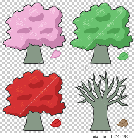 Illustration set of cherry blossom trees changing with the seasons Spring, summer, autumn and winter scenery Illustration set of cherry blossom trees changing with the seasons Spring, summer, autumn and winter scenery 137434905