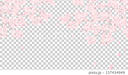 桜フレーム　飾り枠イラスト 137434949