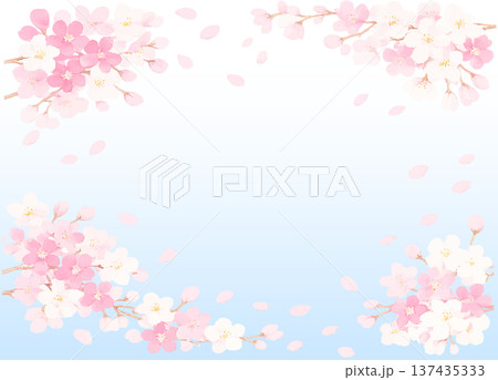 青空に舞う桜の花びらのフレーム素材 可愛い 青空に舞う桜の花びらのフレーム素材 可愛い 137435333
