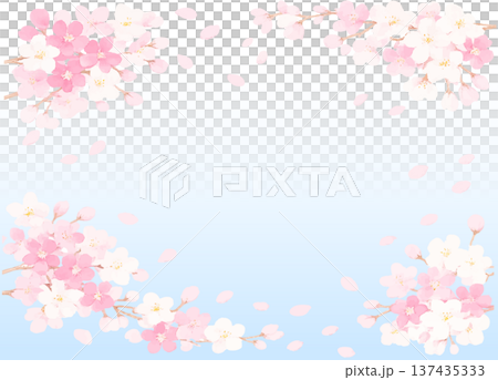 青空に舞う桜の花びらのフレーム素材 可愛い 青空に舞う桜の花びらのフレーム素材 可愛い 137435333