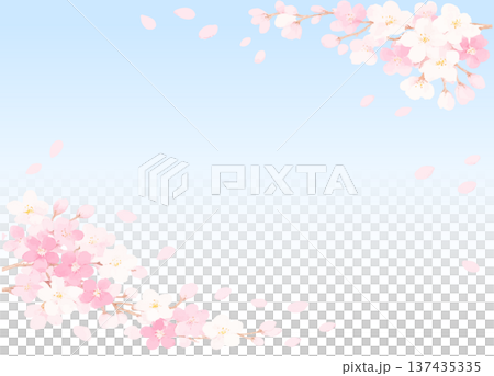 青空のグラデーションを背景に桜の花びらが舞うフレーム画像素材 137435335