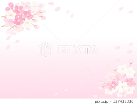 満開の桜の花びらのイラストフレーム 137435336