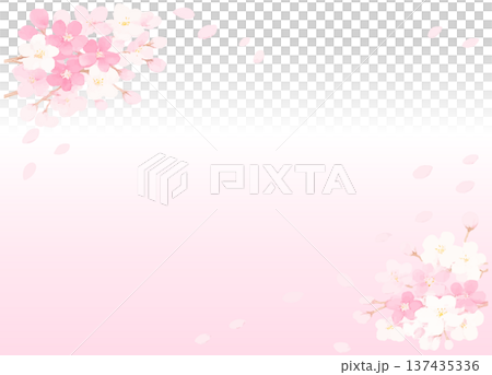 満開の桜の花びらのイラストフレーム 137435336
