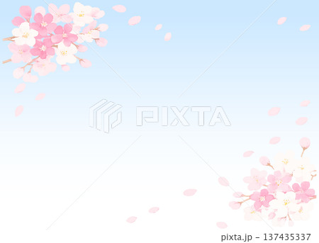 澄んだ青空に舞う桜の花びら ベクター 澄んだ青空に舞う桜の花びら ベクター 137435337