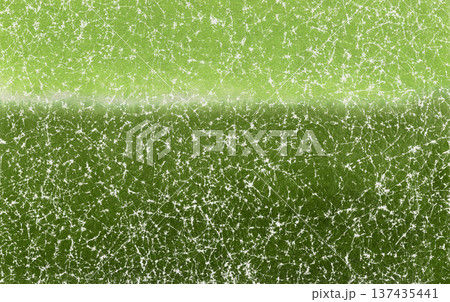 緑色の濃淡が滲む、グラデーションの手揉み和紙 137435441