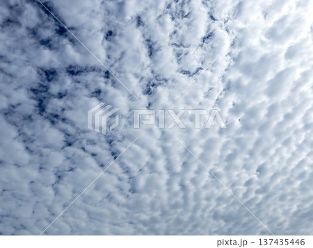 秋の空に秋の雲 137435446