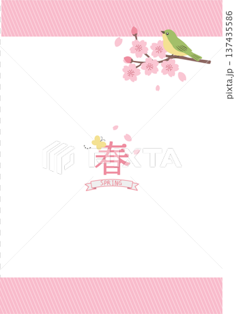 春季背景插圖 春季橫幅 叢鶯與櫻花 叢鶯與梅花邊框 137435586