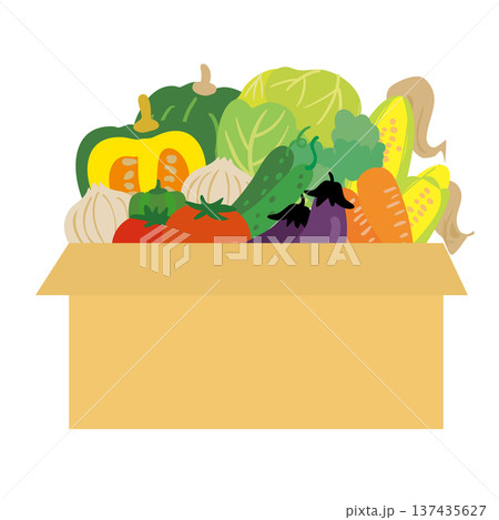 収穫した新鮮野菜の詰め合わせイラスト 137435627