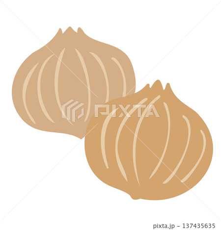 タマネギのイラスト 137435635