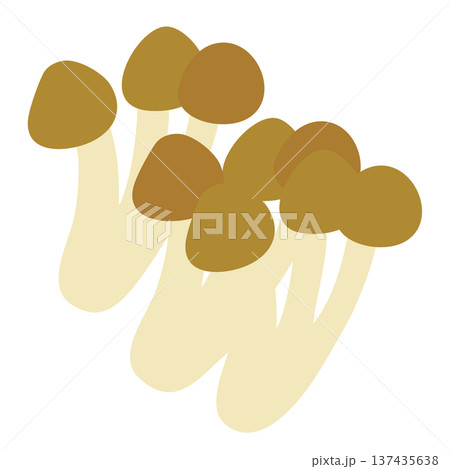 しめじのイラスト 137435638