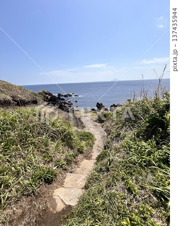 海へ続く小道 海へ続く小道 137435944
