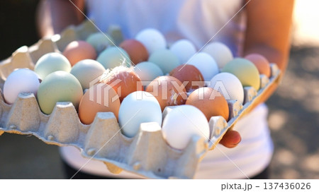 Person holding carton of fresh organic farm eggs outdoors 137436026