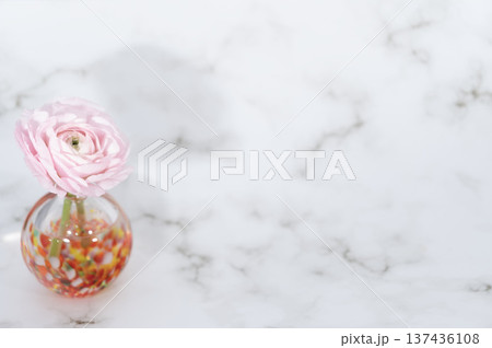 暖色ガラスの一輪挿しに挿した薄桃色のラナンキュラスの花(左配置) 暖色ガラスの一輪挿しに挿した薄桃色のラナンキュラスの花(左配置) 137436108