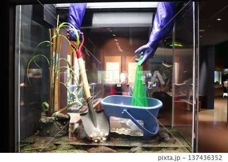 相模川ふれあい科学館 アクアリウムさがみはら 相模川ふれあい科学館 アクアリウムさがみはら 137436352