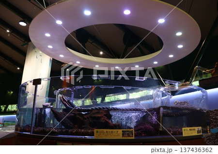 相模川ふれあい科学館 アクアリウムさがみはら 相模川ふれあい科学館 アクアリウムさがみはら 137436362