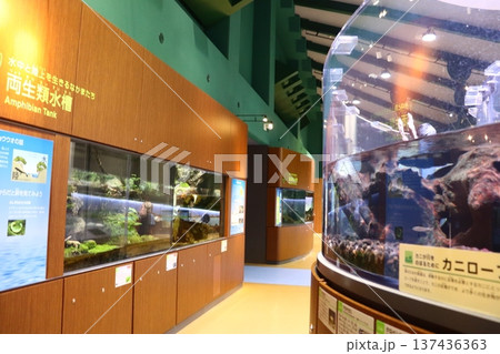 相模川ふれあい科学館 アクアリウムさがみはら 相模川ふれあい科学館 アクアリウムさがみはら 137436363
