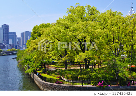 大阪市の天満橋周辺の春の風景 大阪市の天満橋周辺の春の風景 137436423