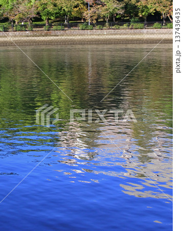 大阪市の淀川河川公園の春の情景 大阪市の淀川河川公園の春の情景 137436435