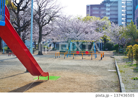 街の公園にも春が来た 街の公園にも春が来た 137436505