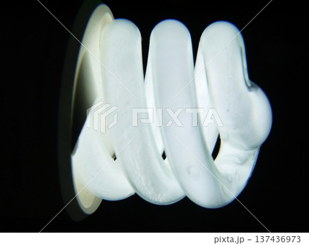 スパイラル型蛍光灯 137436973