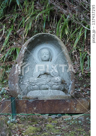 寺の石仏とちいさな節分草 寺の石仏とちいさな節分草 137437295
