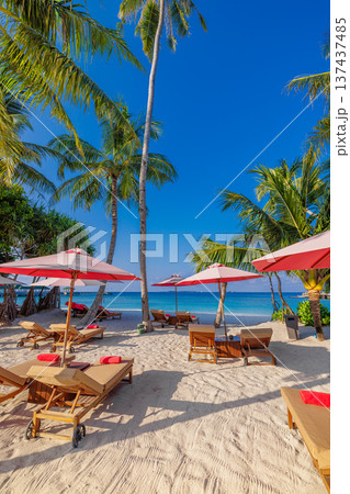 Pristine tropical resort beach umbrellas beneath palm trees calm turquoise sea idyllic island relaxation sunny paradise scenery Pristine tropical resort beach umbrellas beneath palm trees calm turquoise sea idyllic island relaxation sunny paradise scenery 137437485
