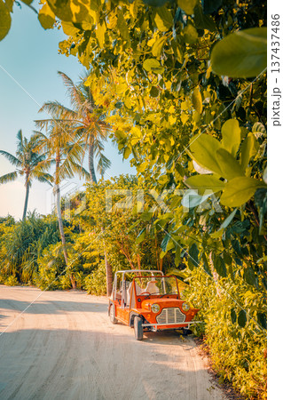 Summer beach buggy driving on tropical dirt road with palm trees and lush forest fun outdoor island adventure Summer beach buggy driving on tropical dirt road with palm trees and lush forest fun outdoor island adventure 137437486