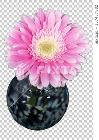A cut-out gerbera with rich pink petals in a cool-toned vase A cut-out gerbera with rich pink petals in a cool-toned vase 137437582