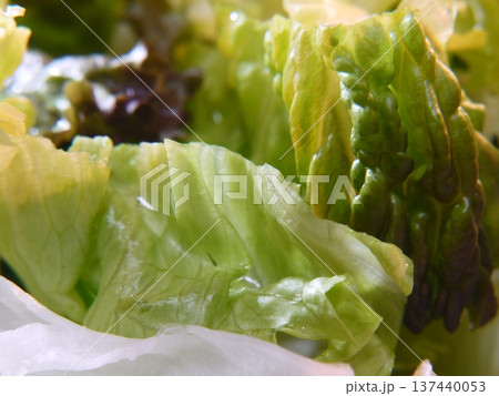 野菜サラダ 137440053
