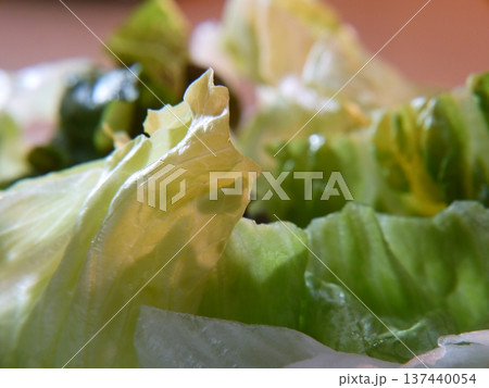 野菜サラダ 野菜サラダ 137440054