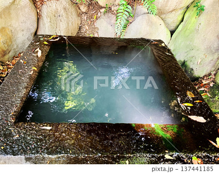 苔と石に囲まれた幻想的な水辺・禅の精神を感じる静謐な日本庭園の風景写真 137441185