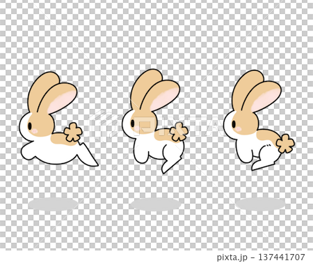 Jumping Rabbit 137441707
