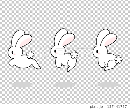 跳び跳ねるウサギ 137441757