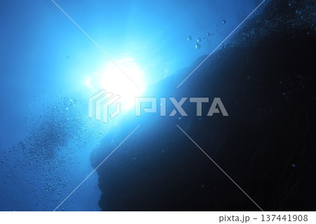 水中から見た太陽　水中写真 137441908