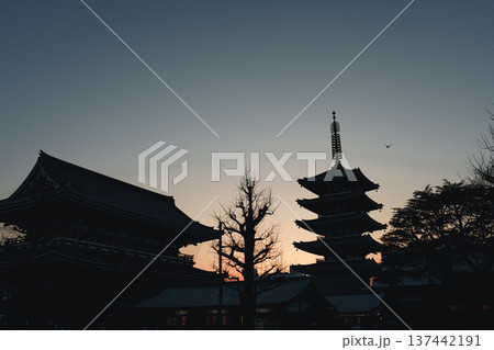 浅草寺の五重塔と沈む太陽 浅草寺の五重塔と沈む太陽 137442191